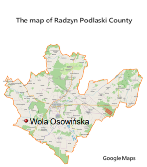 The oak "Dewajtis" is lacated in Wola Osowinska within Radzyn Podlaski County